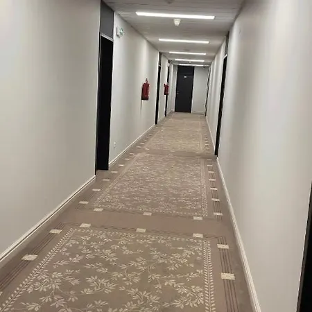 Отель Dvorak 4*