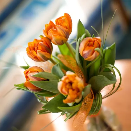 Dvorak Отель Ческе-Будеёвице