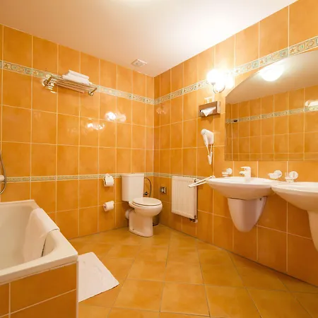 Hotel Dvorak