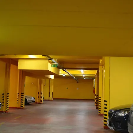 Отель Dvorak 4*