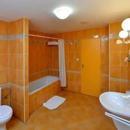 Dvorak Hotel Ceske Budejovice