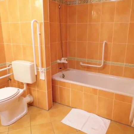 Отель Dvorak 4*