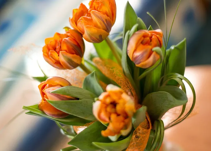 Dvorak Hotel Ceske Budejovice