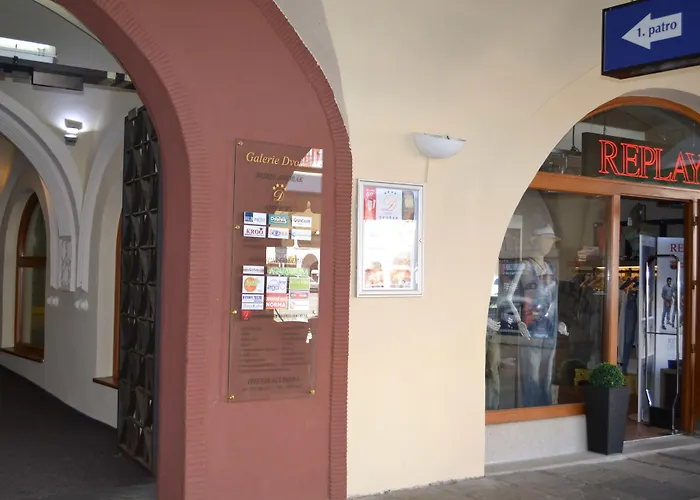 Dvorak Ceske Budejovice