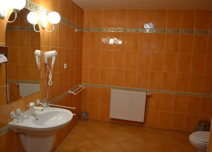 Dvorak Ceske Budejovice